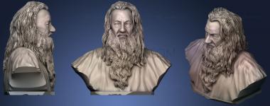 3D model Gandalf Bust (STL)